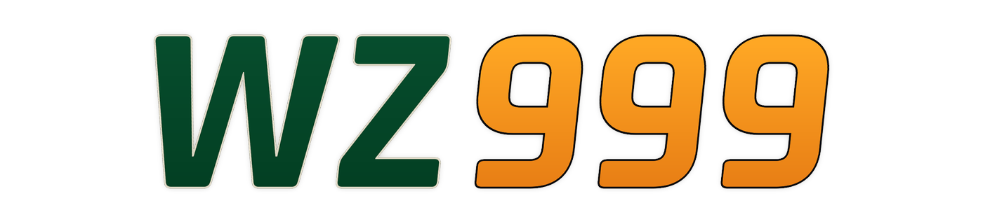 wz999 Logo